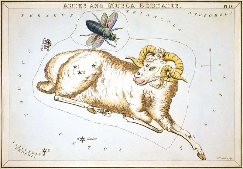 Baran - vintage hviezdna mapa (Sidney Hall, 1825)