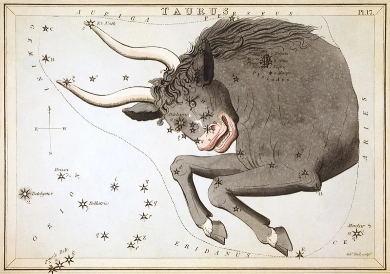 Býk - vintage hviezdna mapa (Sidney Hall, 1825)
