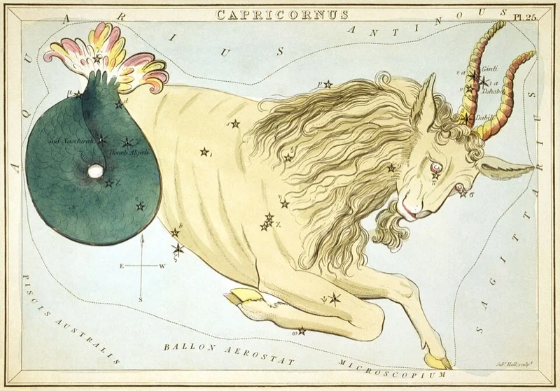 Kozorožec - vintage hviezdna mapa (Sidney Hall, 1825)