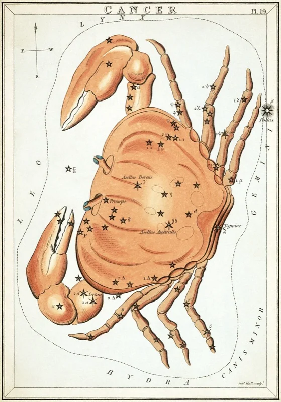 Rak - vintage hviezdna mapa (Sidney Hall, 1825)