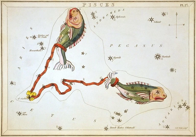 Ryby - vintage hviezdna mapa (Sidney Hall, 1825)